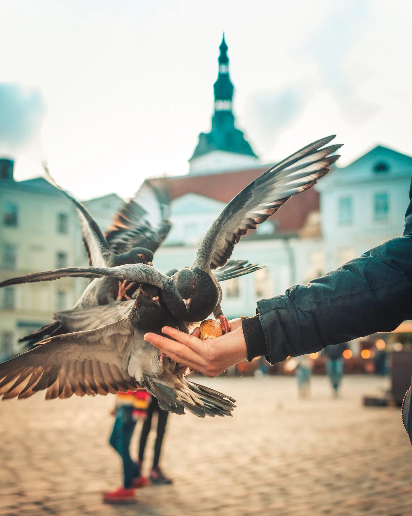 Picture by Hert Niks on Unsplash